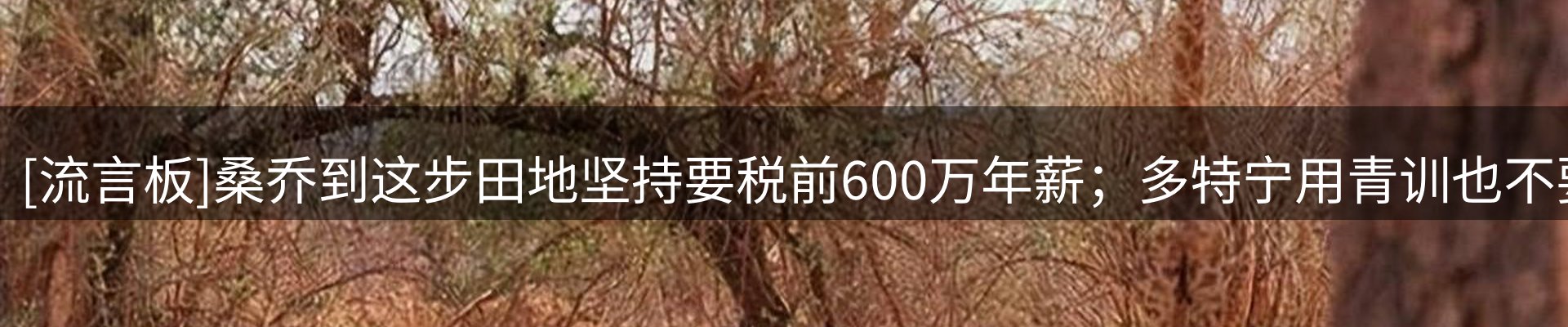 资讯指南